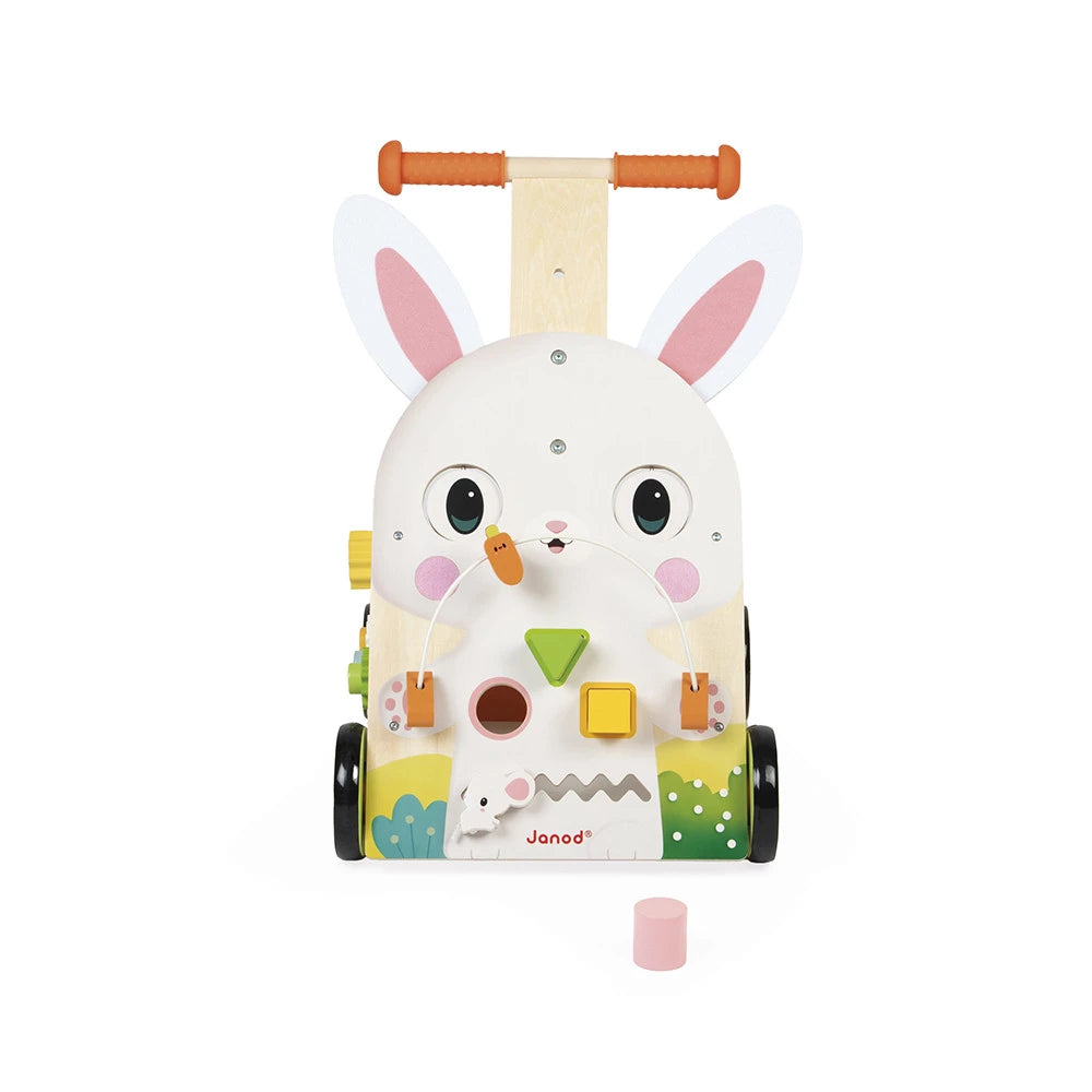 Wooden Rabbit Multi-Activity Cart