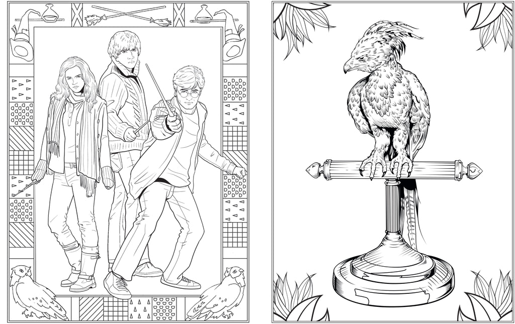 Harry Potter Colouring Book