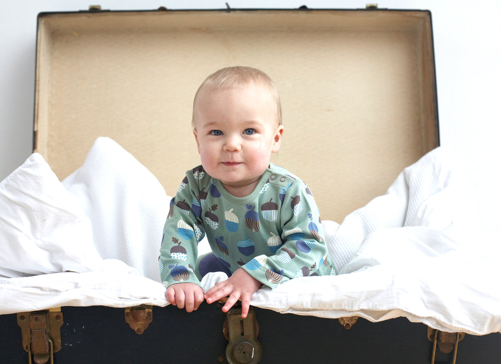 Pigeon Organics Lond Sleeve Tshirt AOP Acorns Green