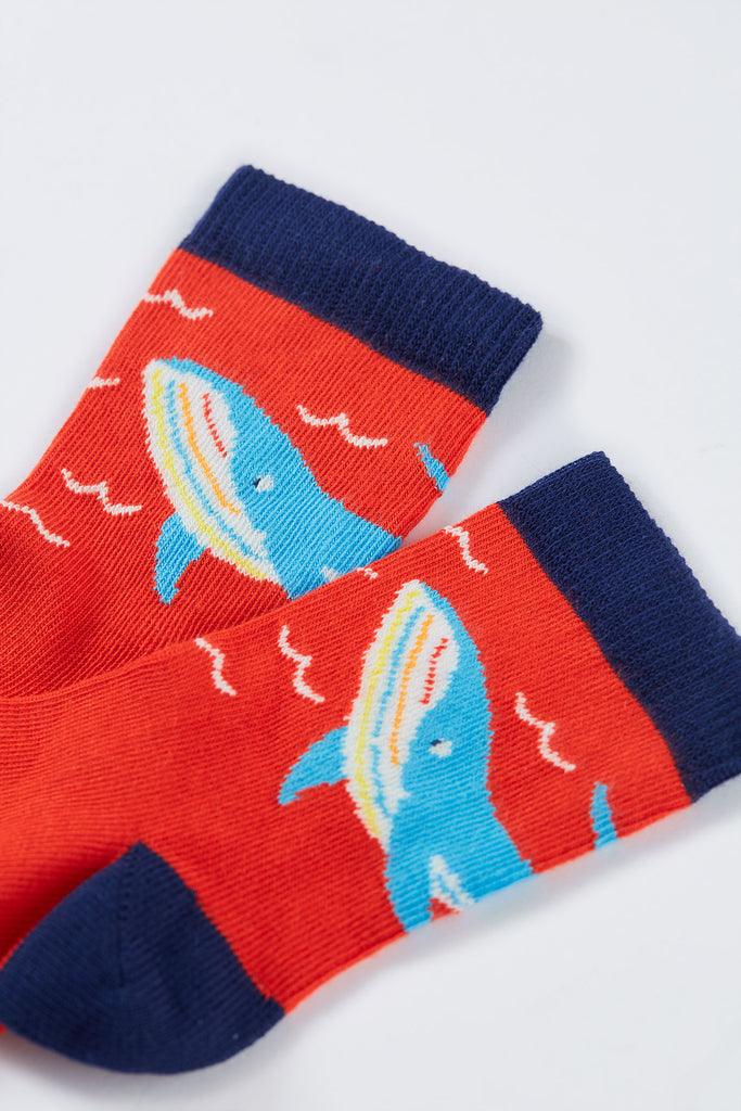 Frugi Litle socks 3 pack Rainbow Sea Multipack