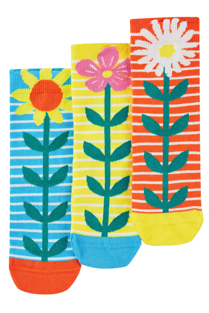 Frugi Rock My Socks 3 Pack Echinacea Multipack