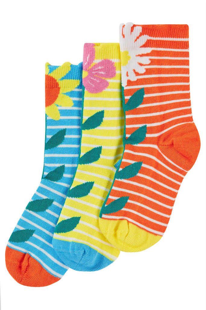 Frugi Rock My Socks 3 Pack Echinacea Multipack