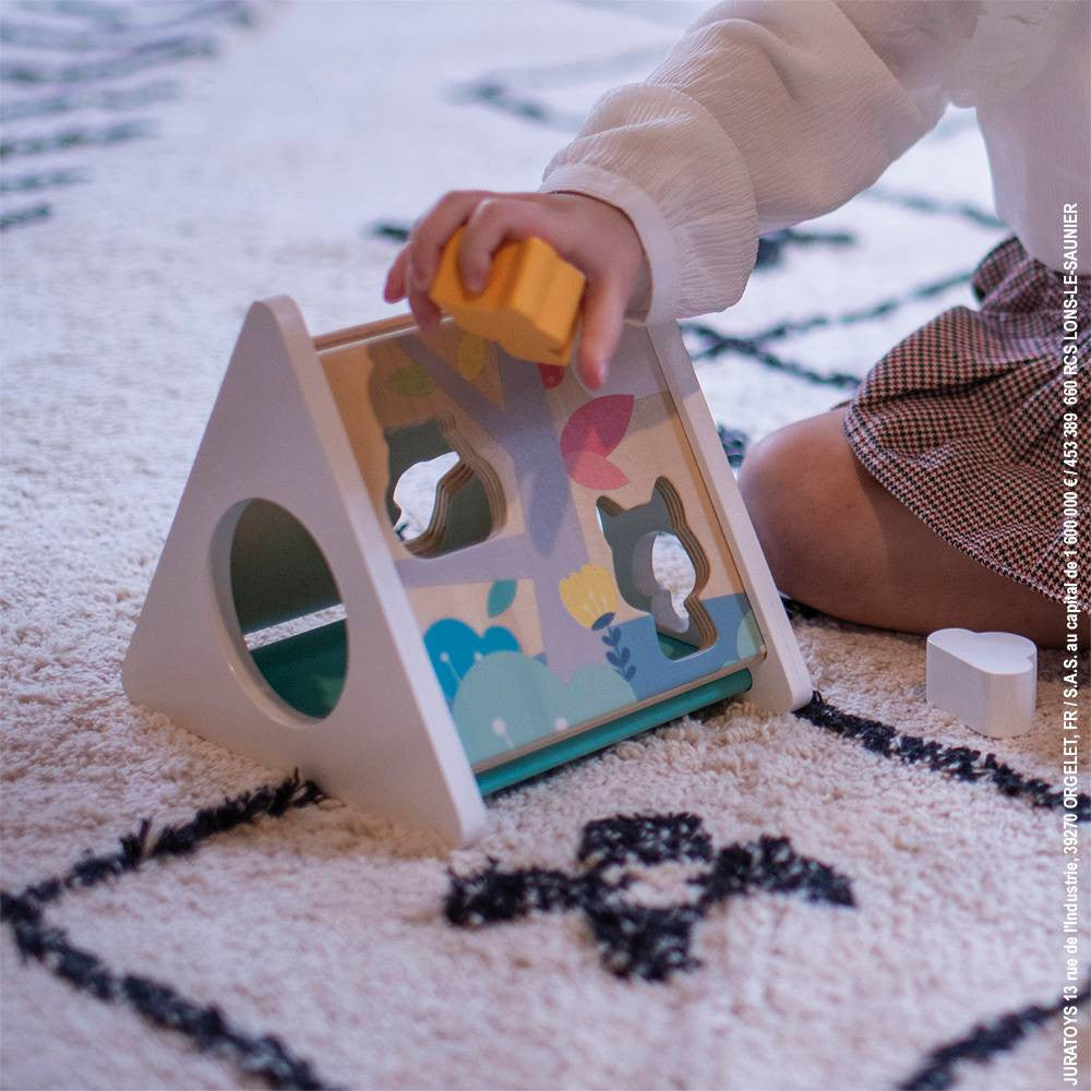 Pure Shape Sorter (wood)