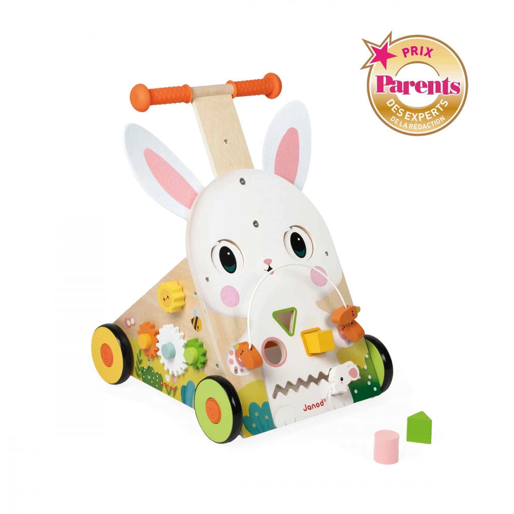 Wooden Rabbit Multi-Activity Cart
