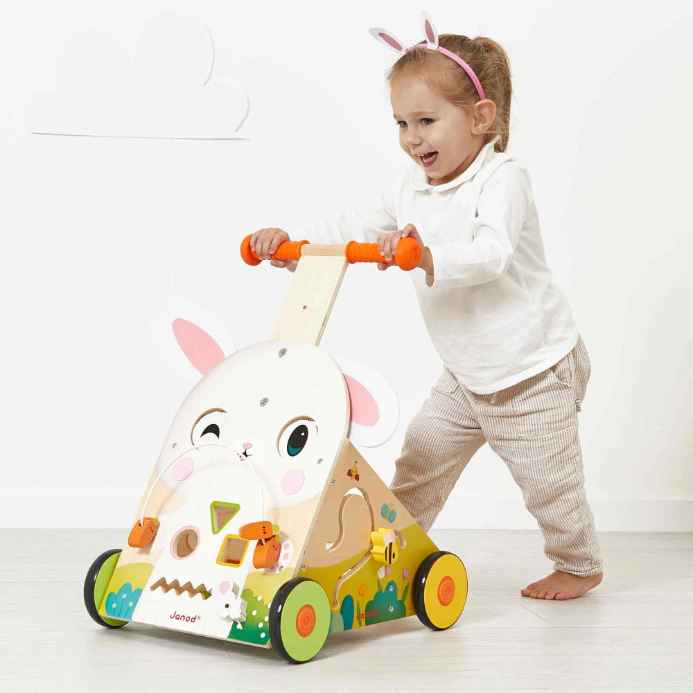 Wooden Rabbit Multi-Activity Cart