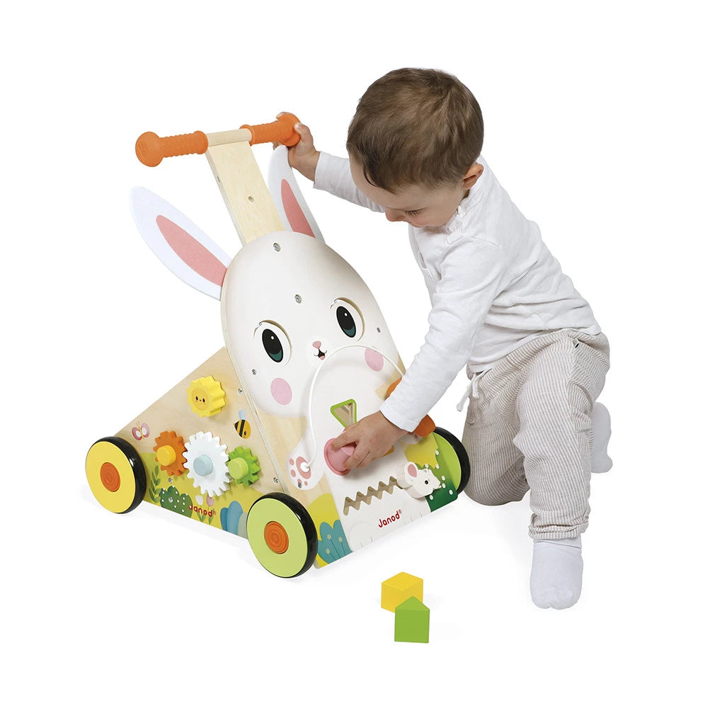 Wooden Rabbit Multi-Activity Cart