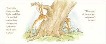 Guess how much I love you (Board)