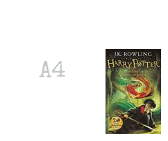 Harry Potter and Chamber of Secrets