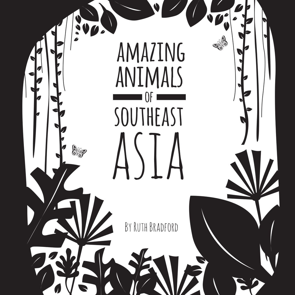 Amazing animals of SouthEast Asia Flashcards